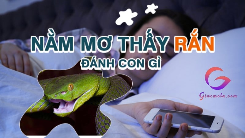 Mơ thấy rắn