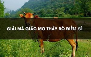 Giải thích ý nghĩa hình ảnh chú bò trong giấc mơ 