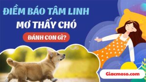 Mơ thấy chó đánh con gì? Ý nghĩa những giấc mơ về chó