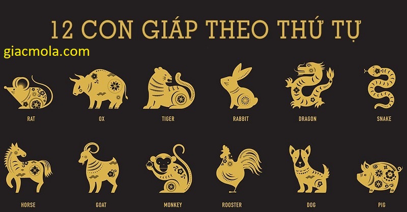 tên 12 con giáp theo thứ tự ở các quốc gia châu á