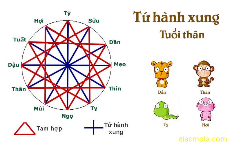 tứ hành xung tuổi thân