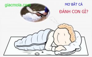 Nằm mơ bắt cá đánh con gì?