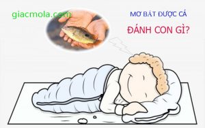 Mơ bắt được cá đánh con gì?