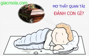 Mơ thấy quan tài đán con gì?