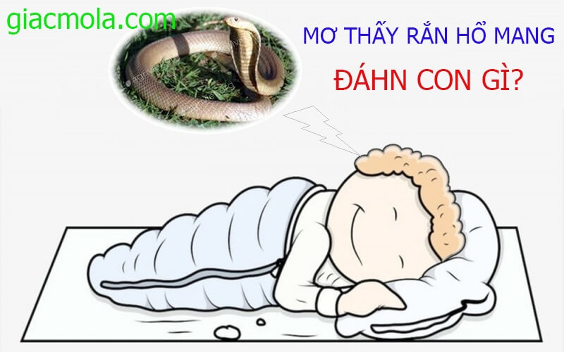 Mơ thấy rắn hổ mang đánh con gì?