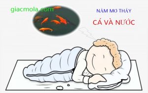 Nằm mơ thấy cá và nước