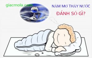 Nằm mơ thấy nước đánh số gì?