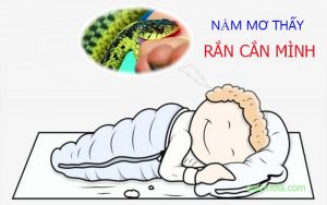 Nằm mơ thấy rắn cắn mình là điềm gì?