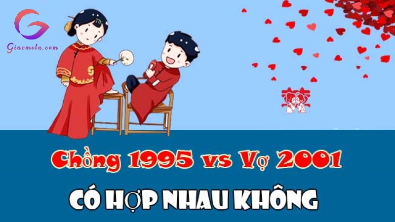 Nữ Tân Tỵ vs nam Ất Hợi