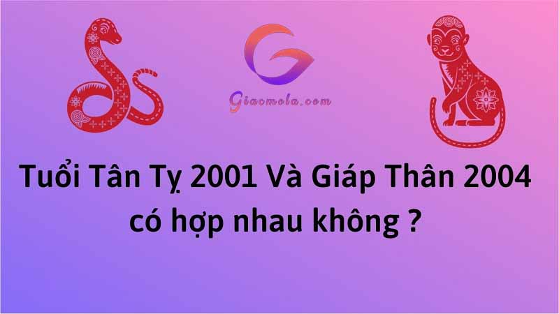 Nam Tân Tỵ với Nữ Giáp Thân