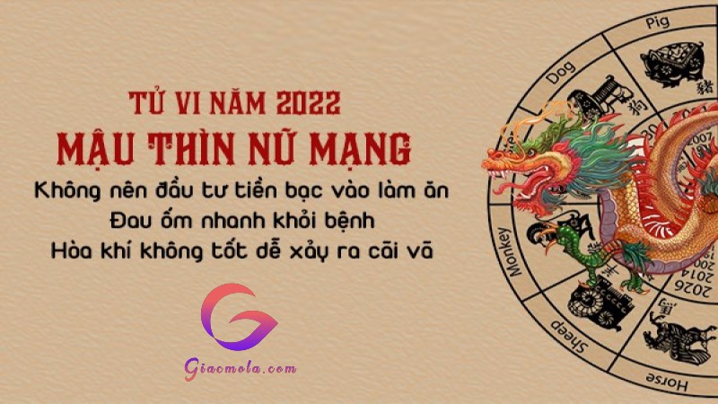 Đôi nét về Mậu Thìn Nữ sinh năm 1988