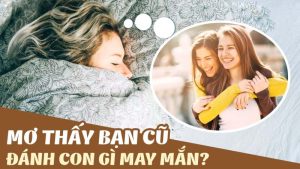 Mơ Gặp Bạn Cũ Đánh Con Gì Dễ Trúng