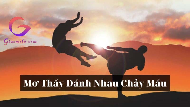 Mơ thấy đánh nhau chảy máu mang điềm báo gì