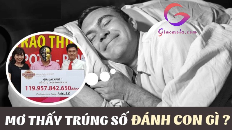 Mơ trúng đề đánh con gì chuẩn xác nhất