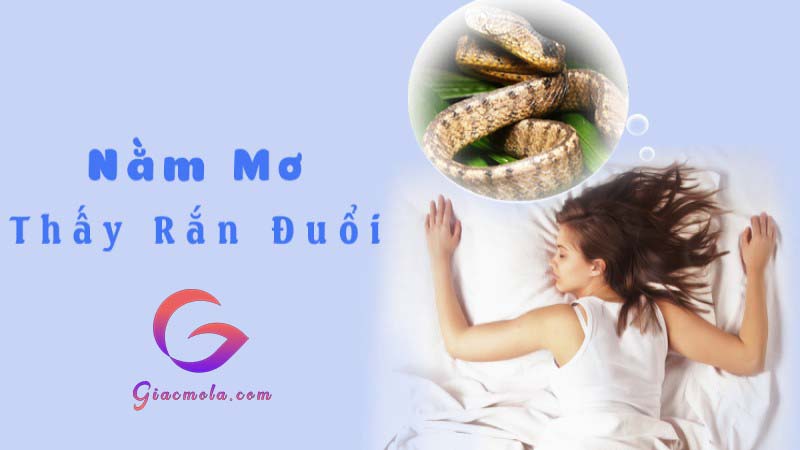 Ngủ mơ rắn đuổi đánh con gì, điềm báo gì