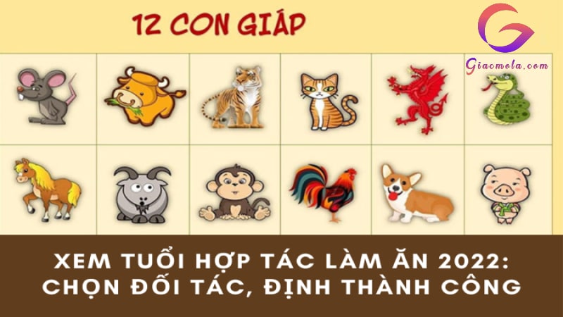 Tuổi tỵ, Ngọ, Dậu, Hợi