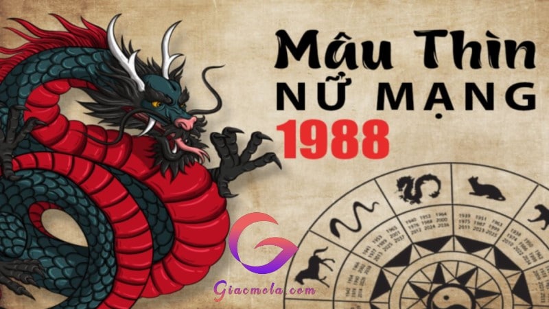 Tử vi tuổi Mậu Thìn 1988 nữ mạng từ 36- 40 tuổi