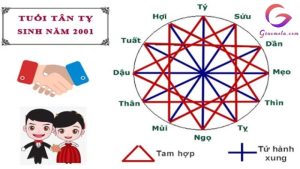 Tuổi Tân Tỵ hợp với tuổi nào trong tình yêu, sự nghiệp