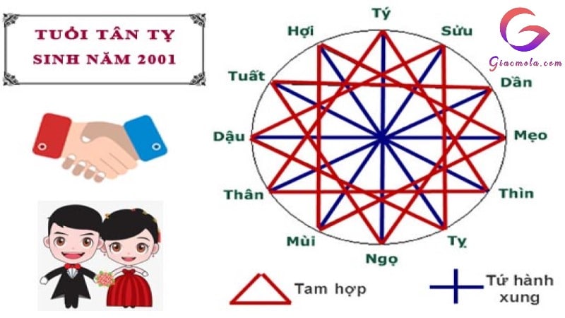 Tuổi Tân Tỵ hợp với tuổi nào trong tình yêu, sự nghiệp