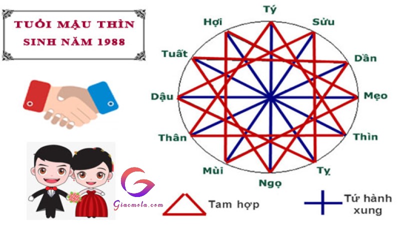 Tuổi đại kỵ Mậu Thìn