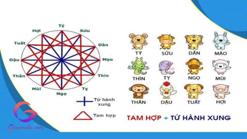 Tuổi hợp với tuổi Tý nhất