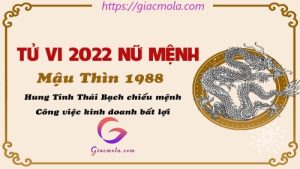 Xem tử vi tuổi Mậu Thìn 1988 nữ mạng theo các năm