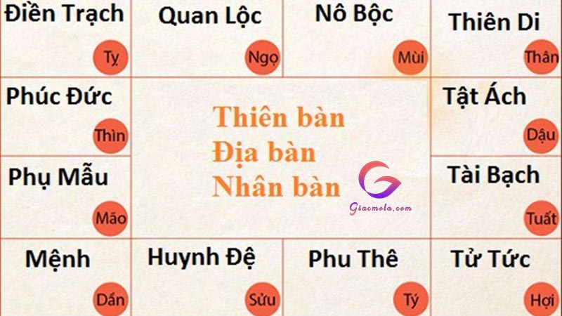 Các hình thức xem lá số