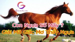 Con Ngựa số mấy - Mơ thấy ngựa điềm báo gì