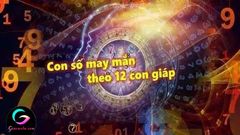 Con số may mắn theo tuổi, theo 12 con giáp