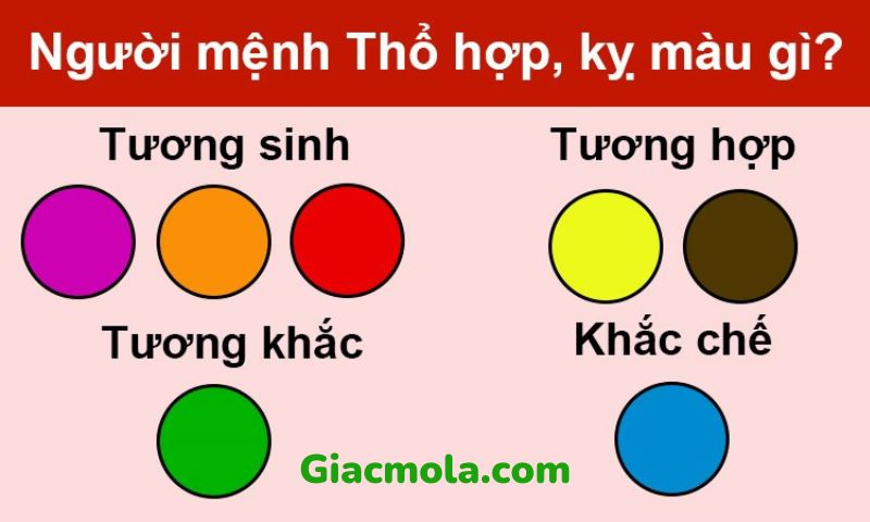 Người mệnh thổ có những màu sắc tương hợp phổ biến nào