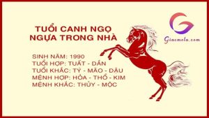 Người sinh năm 1990 hợp với tuổi nào