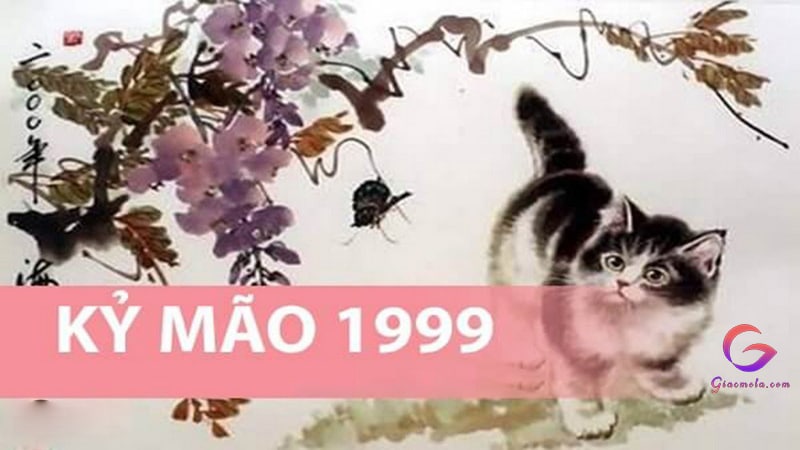 Sinh năm 1999 hợp với tuổi nào trong sự nghiệp, tình yêu