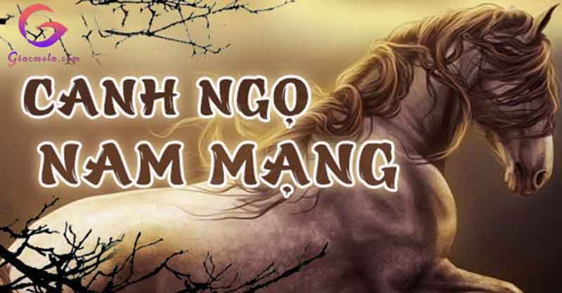 Tử vi nam Canh Ngọ 1991