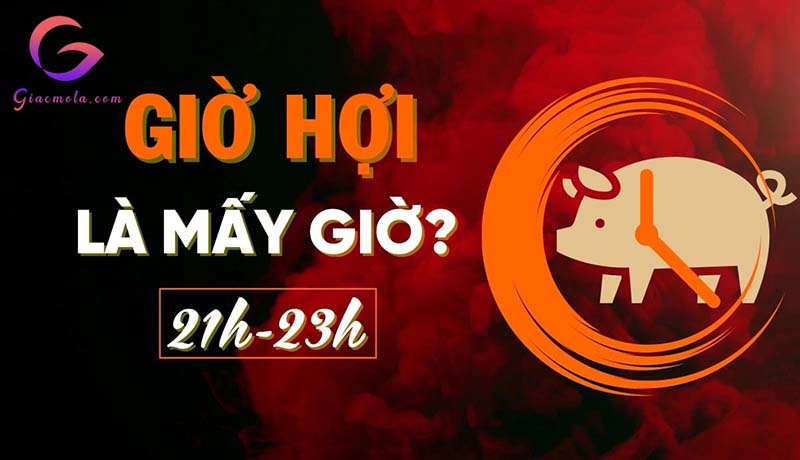 Giờ Hợi là mấy giờ? Tử vi số mệnh người sinh giờ Hợi