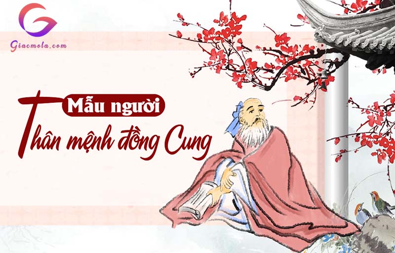 Tìm hiểu về thân cư mệnh