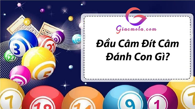 Đầu câm đít câm nên đánh số nào?