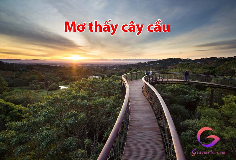 Giải mã giấc mơ thấy cây cầu