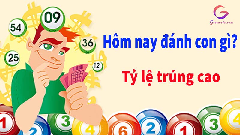 Hôm nay đánh con gì tỷ lệ trúng cao?