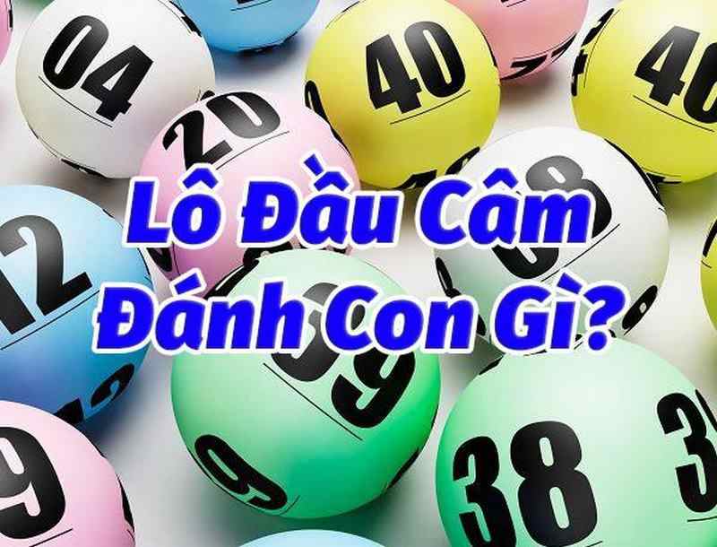 Định nghĩa lô câm đầu và lô câm đít