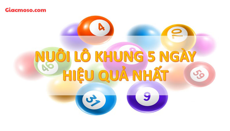 Cách nuôi lô kép bất thắng bất trúng