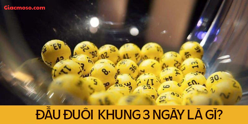 Nuôi đầu đuôi khung 3 ngày là gì?