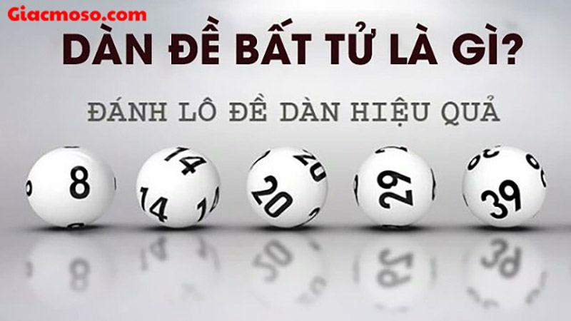 Giới thiệu chung về dàn đề bất tử