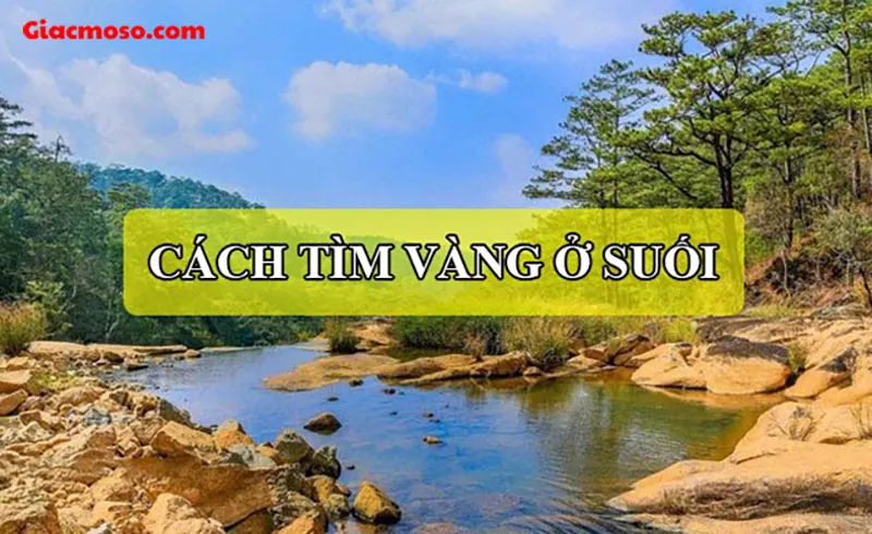 Hướng dẫn cách tìm vàng ở suối đầy đủ chi tiết nhất