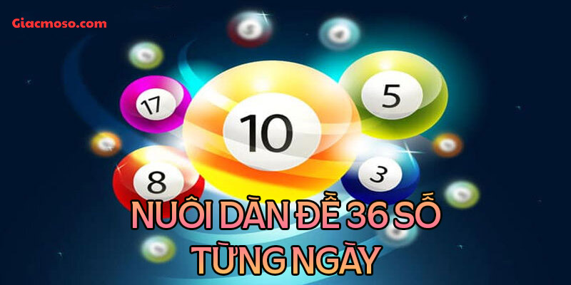 Nuôi dàn đề 36 số là gì?