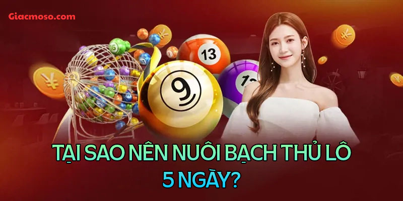 Tại sao nên chọn bạch thủ lô khung 5 ngày?