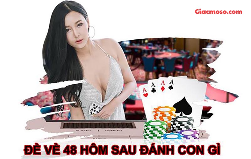 Thống kê tần xuất các con số xuất hiện khi đề về 48