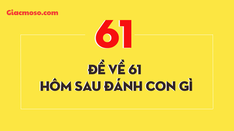 Bí kíp soi cầu khi đề về 61 đánh con gì hôm sau