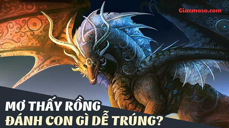 Con rồng đánh số mấy? Giải mã chi tiết chiêm bao về Rồng