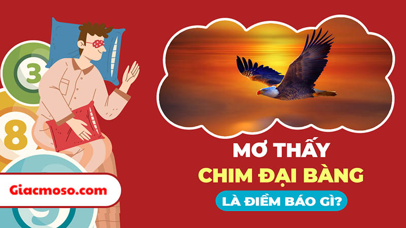 Mơ thấy đại bàng đánh số mấy? Dấu hiệu cho từng điềm báo?