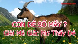 Mơ thấy dê đánh số mấy? Lý giải những giấc mơ về dê